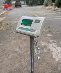 Cân bàn điện tử A12 dạng cột